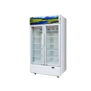 Tủ mát Sanaky Inverter VH-1009HP3 1000 lít