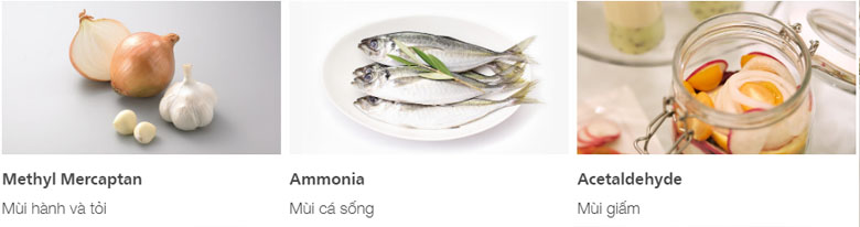 Điện Máy Thành Học