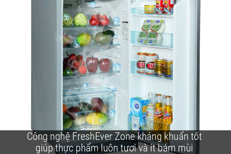 Điện Máy Thành Học